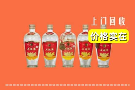 诚信求购:衡水枣强县高价回收老五粮液